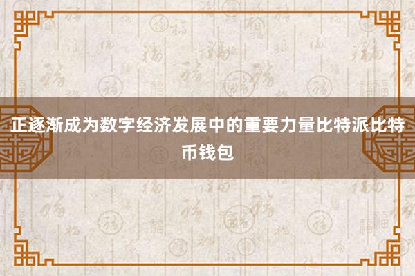 正逐渐成为数字经济发展中的重要力量比特派比特币钱包