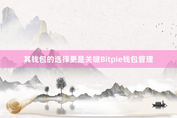 其钱包的选择更是关键Bitpie钱包管理