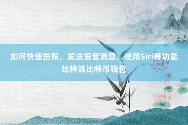 如何快速拍照、发送语音消息、使用Siri等功能比特派比特币钱包