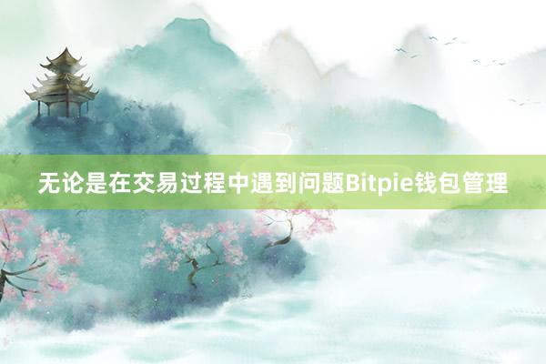 无论是在交易过程中遇到问题Bitpie钱包管理