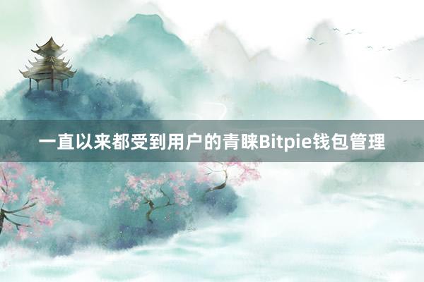 一直以来都受到用户的青睐Bitpie钱包管理