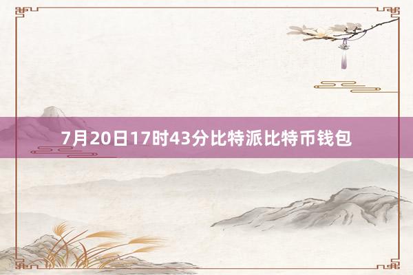 7月20日17时43分比特派比特币钱包