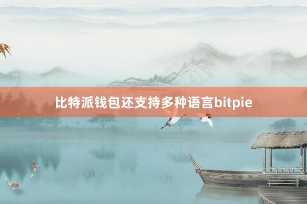 比特派钱包还支持多种语言bitpie