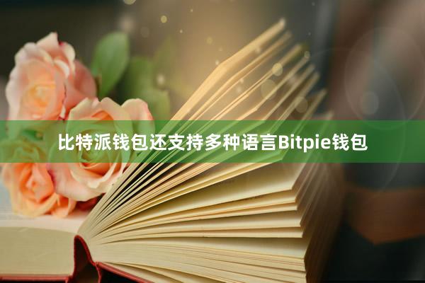 比特派钱包还支持多种语言Bitpie钱包