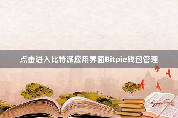 点击进入比特派应用界面Bitpie钱包管理