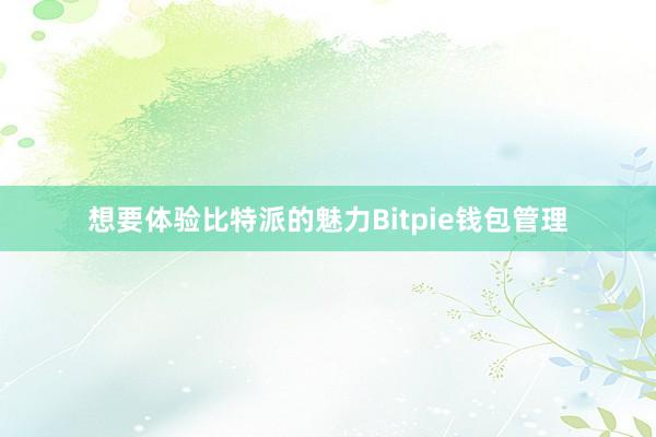 想要体验比特派的魅力Bitpie钱包管理