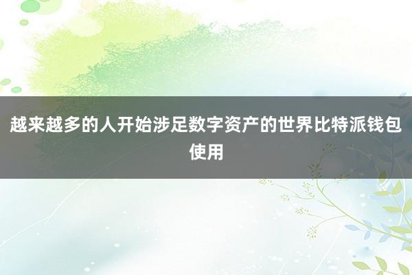 越来越多的人开始涉足数字资产的世界比特派钱包使用