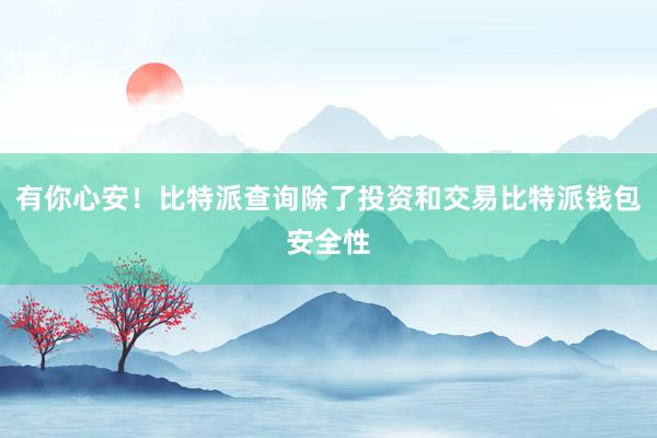 有你心安！比特派查询除了投资和交易比特派钱包安全性