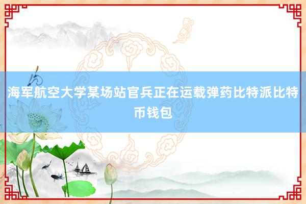 海军航空大学某场站官兵正在运载弹药比特派比特币钱包