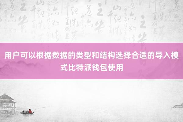 用户可以根据数据的类型和结构选择合适的导入模式比特派钱包使用