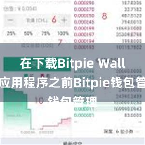 在下载Bitpie Wallet应用程序之前Bitpie钱包管理