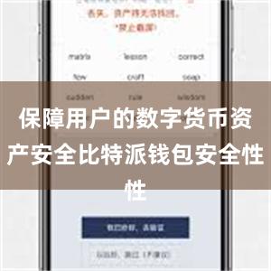 保障用户的数字货币资产安全比特派钱包安全性