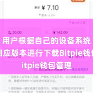 用户根据自己的设备系统选择相应版本进行下载Bitpie钱包管理